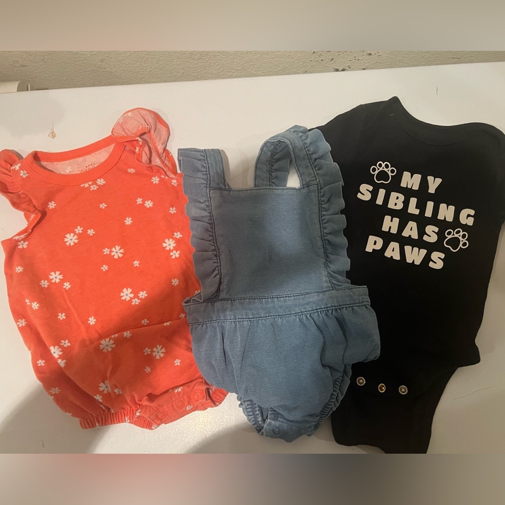 Assorted Baby Girl Clothes Bundle